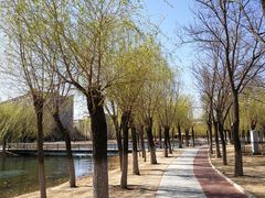 -中关村生命科学园