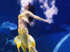 -西安曲江海洋极地公园