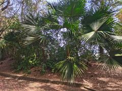 -北海金海湾红树林生态旅游区