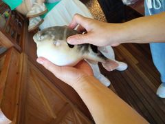 -永安鱼庄·镇江菜(丁卯店)