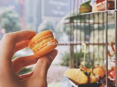 香橙马卡龙-粤海喜来登酒店·&More聚驿(天河城店)