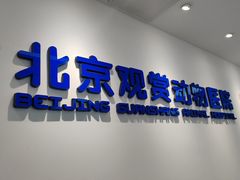 -北京观赏动物医院·24小时大型综合·猫专科·异宠专科