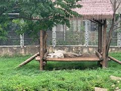 -西安秦岭野生动物园