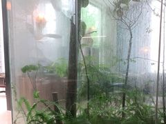 -IL Forno 意坊·意大利餐厅(花园店)