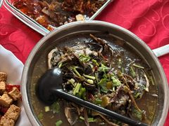-风鑫铃罗非鱼(道沟店)