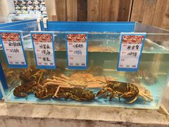 -海鸿荟·沿江菜(中山北路店)