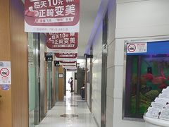 -雅悦齿科(顾村公园店)