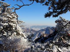 -鲁山国家森林公园