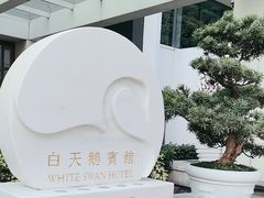 -广州白天鹅宾馆