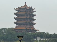 -小凤庭·地道湖北菜武昌鱼·藕汤(38年黄鹤楼店)