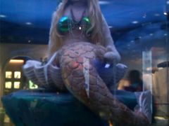 -成都泰迪熊博物馆