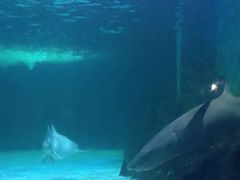 -常州海昌海洋探索馆