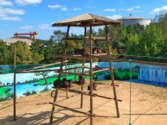 -西霞口神雕山野生动物世界