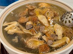 -蘑统田下·野生菌火锅