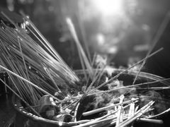 -镇江龙·火锅串串(武侯祠店)