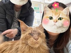 -平行世界·猫咖(首经贸店)