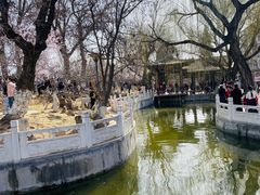 -桃花堤公园