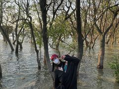 -宝安西湾红树林湿地公园