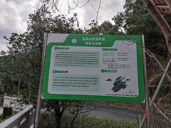 -逍遥谷景区