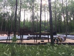 -黄海国家森林公园