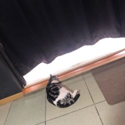 -荔刺青纹身·手穿孔饰品