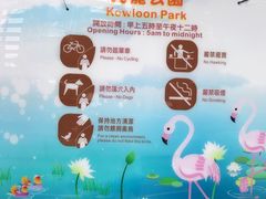 -九龙公园