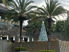 -海南清水湾莱佛士酒店