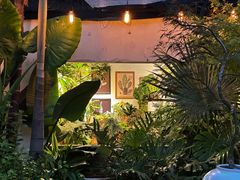 -自由生长植物工作室(深港花卉中心店)