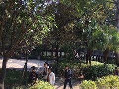 -九龙寨城公园