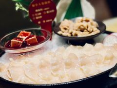 -協成海鮮火鍋(老店)