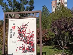 -迎泽公园