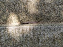 -罗田薄刀峰风景区