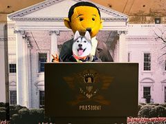 -济州岛泰迪熊博物馆