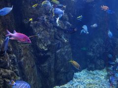 -太平洋海底世界