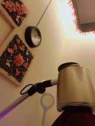 -芳朵美容养生SPA