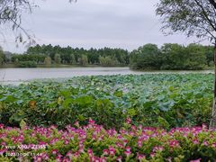 -艾溪湖湿地公园