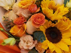 -好伦哥披萨(地坛店)