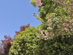 -杨高南路(地铁站)