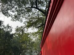 -峨眉山报国寺