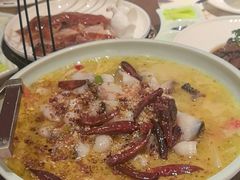 -青叶202都市餐厅(迪诺水镇店)