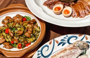 Gold Medal Braised Goose Platter