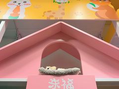 -KKV(深圳宏发大仟里店)