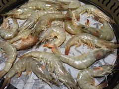 -福缘烤肉王自助(爱琴海-原比尔森店)