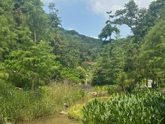 -云溪植物园