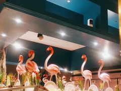 -五月罗马海鲜自助餐厅(陆家嘴店)