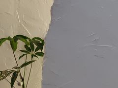 -COTTON CAFE(德信·中外公寓店)