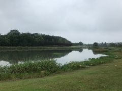 -两河城市森林公园