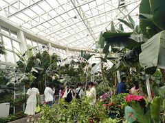 -石家庄市植物园