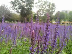 -吉林大学(前卫南区)