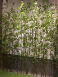 -盘子女人坊古装写真摄影(天津总店)